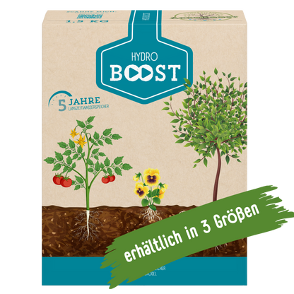 HydroBoost